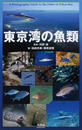 東京湾の魚類