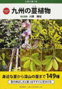 九州の蔓植物