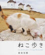 ねこ歩き