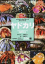 ヤドカリ ひと目で特徴がわかる図解付き 日本各地のヤドカリ オカヤドカリ２００種