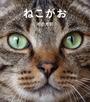 ねこがお