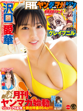 月刊ヤングマガジン 漫画 無料 試し読みも Honto電子書籍ストア