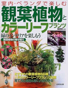 観葉植物とカラーリーフプランツ 室内 ベランダで楽しむの通販 尾崎 章 紙の本 Honto本の通販ストア