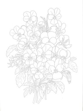 みんなのレビュー 大人の塗り絵 そのまますぐに塗れる 名画１１枚付き 美しい花編 美しい花編 ｐ ｊ ルドゥーテ 紙の本 Honto本の通販ストア