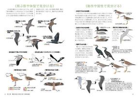 春の野鳥 を見に行こう ｄｖｄ付季節の野鳥図鑑の通販 安西 英明 紙の本 Honto本の通販ストア