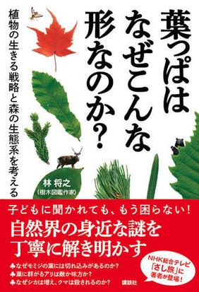 葉っぱはなぜこんな形なのか 植物の生きる戦略と森の生態系を考えるの通販 林将之 紙の本 Honto本の通販ストア