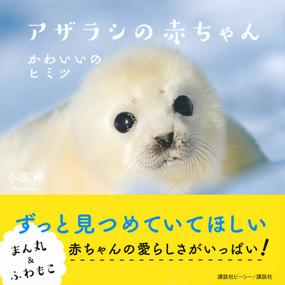 アザラシの赤ちゃん かわいいのヒミツの通販 小原玲 紙の本 Honto本の通販ストア