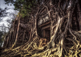 異世界に一番近い場所 ファンタジー系ゲーム アニメ ラノベのような現実の景色の通販 清水 大輔 紙の本 Honto本の通販ストア