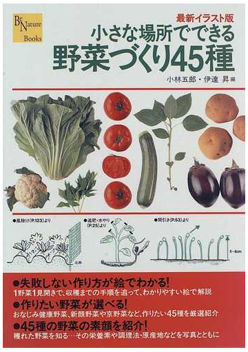 小さな場所でできる野菜づくり４５種 最新イラスト版の通販 小林 五郎 伊達 昇 紙の本 Honto本の通販ストア