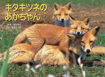 キタキツネのあかちゃんの通販 結城 モイラ 福田 幸広 紙の本 Honto本の通販ストア