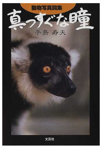 真っすぐな瞳 動物写真詞集の通販 手島 寿夫 紙の本 Honto本の通販ストア