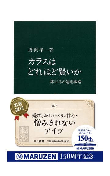 カラスはどれほど賢いか 都市鳥の適応戦略の通販 唐沢 孝一 中公新書 紙の本 Honto本の通販ストア