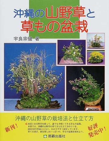 沖縄の山野草と草もの盆栽 山野草を育て緑のある生活を楽しむ 創作山野草の面白み 創作草もの盆栽の通販 宇良 宗健 紙の本 Honto本の通販ストア