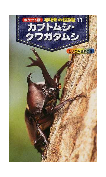 カブトムシ クワガタムシ ポケット版の通販 紙の本 Honto本の通販ストア