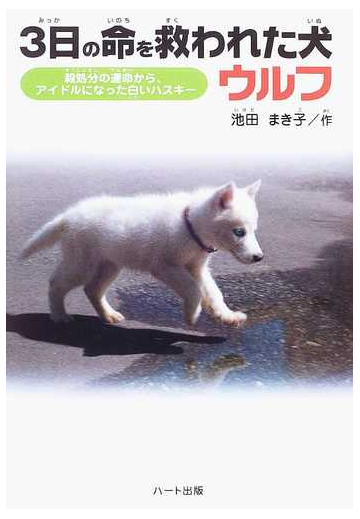 ３日の命を救われた犬ウルフ 殺処分の運命からアイドルになった白いハスキーの通販 池田 まき子 紙の本 Honto本の通販ストア