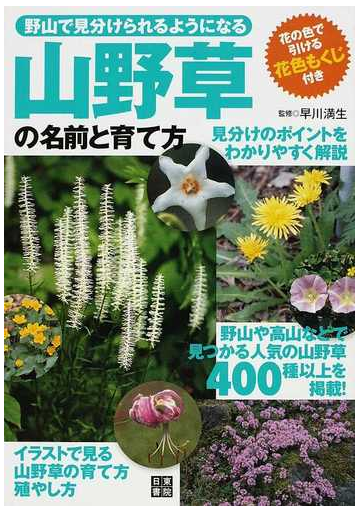 山野草の名前と育て方 野山で見分けられるようになるの通販 早川 満生 紙の本 Honto本の通販ストア