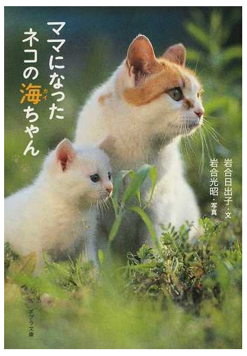 ママになったネコの海ちゃんの通販 岩合 日出子 岩合 光昭 ポプラ文庫 紙の本 Honto本の通販ストア