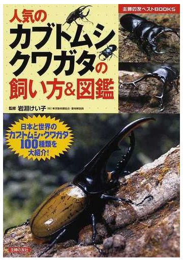 人気のカブトムシ クワガタの飼い方 図鑑 日本と世界のカブトムシ クワガタ１００種類を大紹介 の通販 岩淵 けい子 主婦の友社 紙の本 Honto本の通販ストア