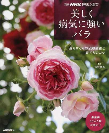 美しく病気に強いバラ 選りすぐりの２００品種と育て方のコツの通販 河合 伸志 ｎｈｋ出版 紙の本 Honto本の通販ストア
