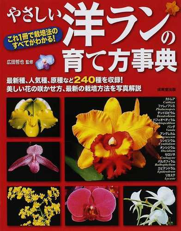 やさしい洋ランの育て方事典 これ１冊で栽培法のすべてがわかる 最新種 人気種 原種など２４０種を収録 美しい花の咲かせ方 最新の栽培方法を写真解説の通販 広田 哲也 紙の本 Honto本の通販ストア