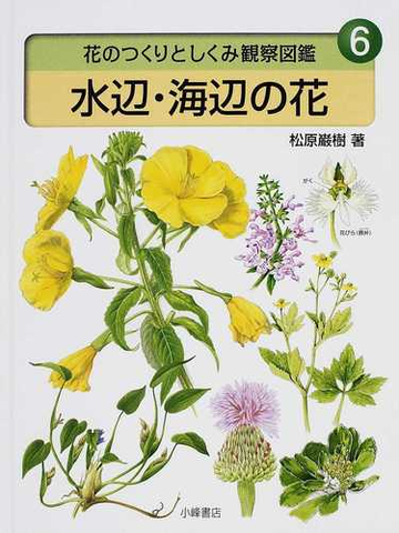 花のつくりとしくみ観察図鑑 ６ 水辺 海辺の花の通販 松原 巌樹 紙の本 Honto本の通販ストア