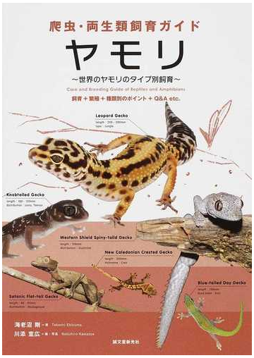 ヤモリ 世界のヤモリのタイプ別飼育 飼育 繁殖 種類別のポイント ｑ ａ ｅｔｃ の通販 海老沼 剛 川添 宣広 紙の本 Honto本の通販ストア