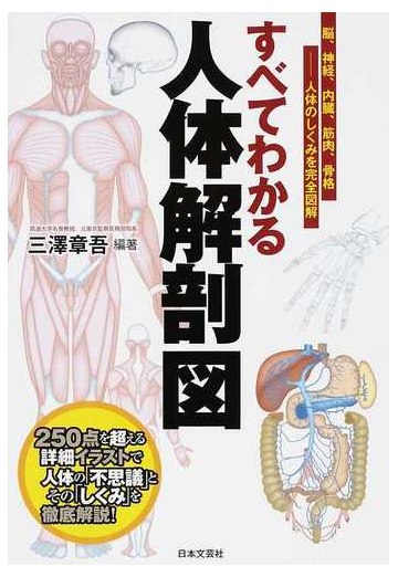 すべてわかる人体解剖図 脳 神経 内臓 筋肉 骨格 人体のしくみを完全図解 ２５０点を超える詳細イラストで人体の 不思議 とその しくみ を徹底解説 の通販 三澤 章吾 紙の本 Honto本の通販ストア