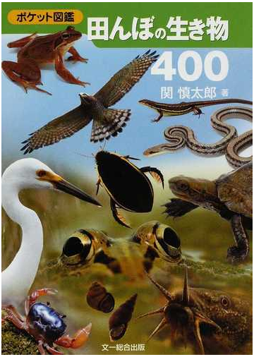 田んぼの生き物４００の通販 関 慎太郎 紙の本 Honto本の通販ストア