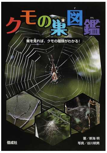 クモの巣図鑑 巣を見れば クモの種類がわかる の通販 新海 明 谷川 明男 紙の本 Honto本の通販ストア