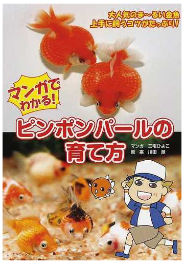 マンガでわかる ピンポンパールの育て方 ビギナーのためのピンポンパール セッティング 大人気のま るい金魚 上手に飼うコツがたっぷり