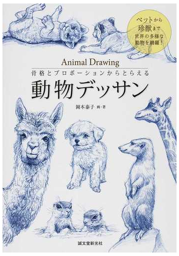 骨格とプロポーションからとらえる動物デッサン ペットから珍獣まで世界の多様な動物を網羅 の通販 岡本 泰子 紙の本 Honto本の通販ストア