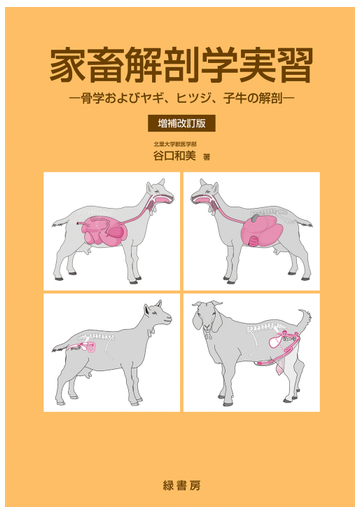 家畜解剖学実習 骨学およびヤギ ヒツジ 子牛の解剖 増補改訂版の通販 谷口 和美 紙の本 Honto本の通販ストア