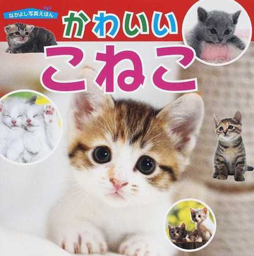 かわいいこねこの通販 福田 豊文 紙の本 Honto本の通販ストア