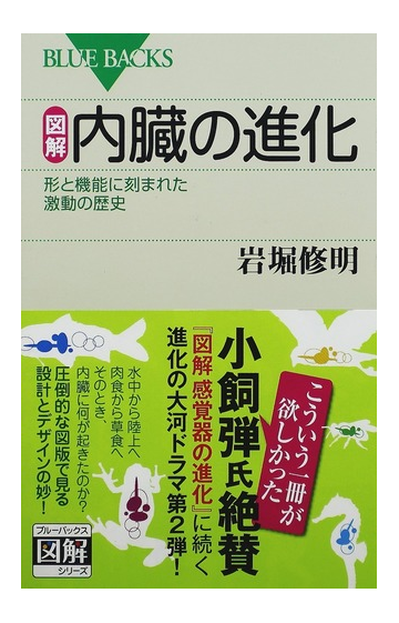 図解 内臓の進化 形と機能に刻まれた激動の歴史の通販 岩堀 修明 ブルー バックス 紙の本 Honto本の通販ストア