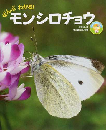 ぜんぶわかる モンシロチョウの通販 新開 孝 蟻川 謙太郎 紙の本 Honto本の通販ストア