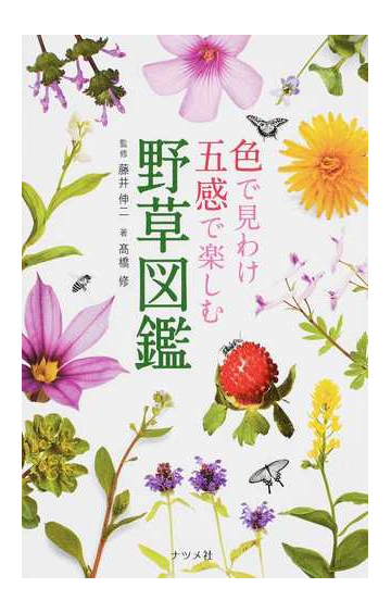 色で見わけ五感で楽しむ野草図鑑の通販 高橋 修 藤井 伸二 紙の本 Honto本の通販ストア