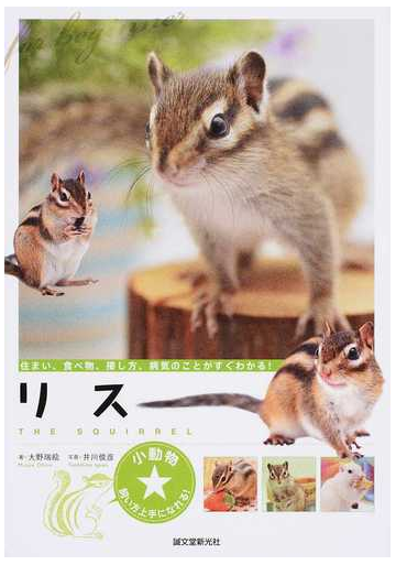 リス 住まい 食べ物 接し方 病気のことがすぐわかる の通販 大野 瑞絵 井川 俊彦 紙の本 Honto本の通販ストア