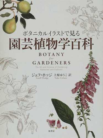 ボタニカルイラストで見る園芸植物学百科の通販 ジェフ ホッジ 上原 ゆうこ 紙の本 Honto本の通販ストア