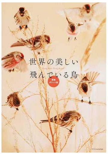 世界の美しい飛んでいる鳥 愛蔵ポケット版の通販 澤井聖一 紙の本 Honto本の通販ストア