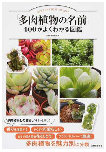 多肉植物の名前 ４００がよくわかる図鑑の通販 飯島 健太郎 紙の本 Honto本の通販ストア