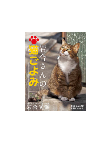 16年卓上カレンダー 岩合さんの猫ごよみの通販 岩合 光昭 紙の本 Honto本の通販ストア