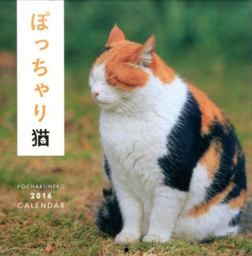 ぽっちゃり猫ｃａｌｅｎｄａｒ ２０１６の通販 紙の本 Honto本の通販ストア