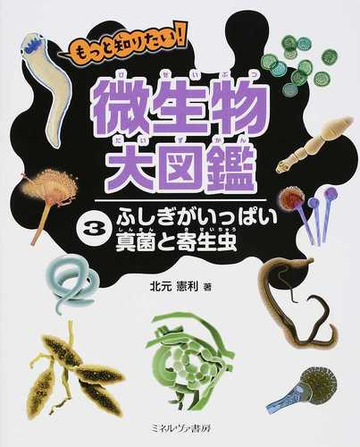 もっと知りたい 微生物大図鑑 ３ ふしぎがいっぱい真菌と寄生虫の通販 北元 憲利 紙の本 Honto本の通販ストア