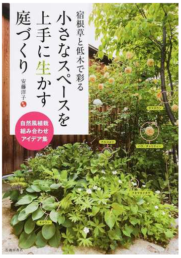 宿根草と低木で彩る小さなスペースを上手に生かす庭づくり 自然風植栽組み合わせアイデア集の通販 安藤 洋子 紙の本 Honto本の通販ストア