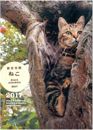 岩合光昭ねこダイアリースケジュールの通販 岩合 光昭 紙の本 Honto本の通販ストア