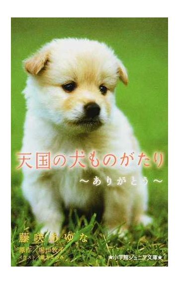 天国の犬ものがたり ありがとうの通販 堀田 敦子 藤咲 あゆな 小学館ジュニア文庫 紙の本 Honto本の通販ストア