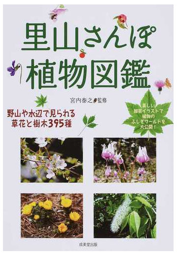 里山さんぽ植物図鑑の通販 宮内 泰之 紙の本 Honto本の通販ストア