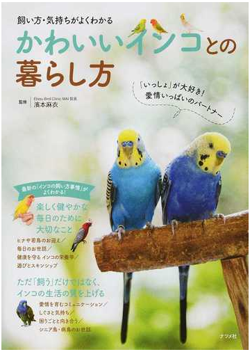 かわいいインコとの暮らし方 飼い方 気持ちがよくわかるの通販 濱本麻衣 紙の本 Honto本の通販ストア