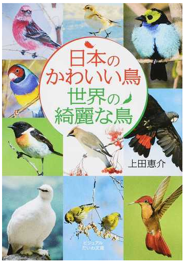 日本のかわいい鳥世界の綺麗な鳥の通販 上田恵介 だいわ文庫 紙の本 Honto本の通販ストア