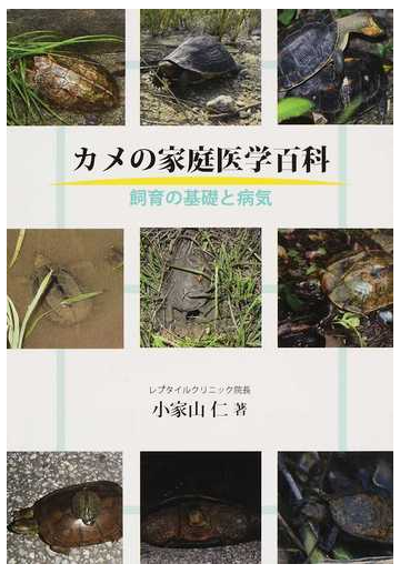 カメの家庭医学百科 飼育の基礎と病気の通販 小家山 仁 紙の本 Honto本の通販ストア